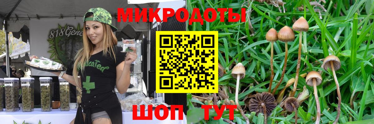 Псилоцибиновые грибы мухоморы Электрогорск